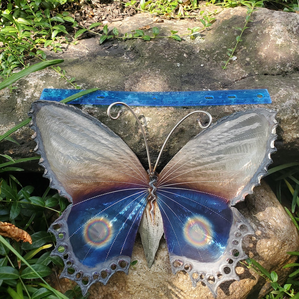 Small Lace Edge Butterfly Wall Sculpture - Lower Eye Spot - Heart of the Home PA