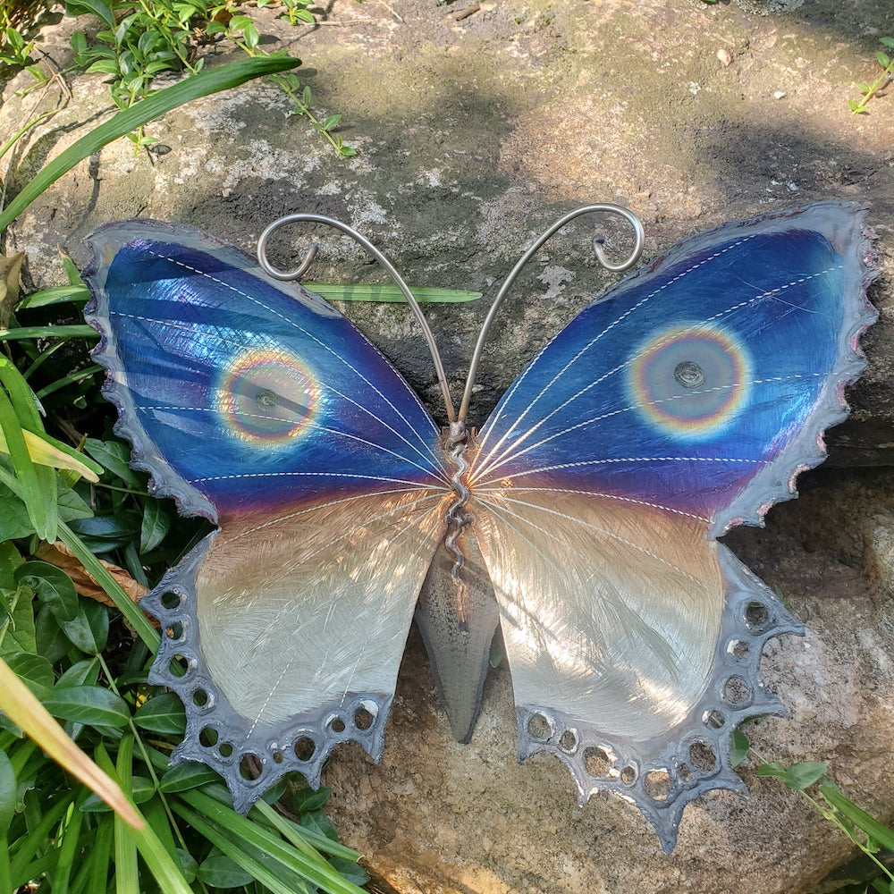 Small Lace Edge Butterfly Wall Sculpture - Upper Eye Spot - Heart of the Home PA