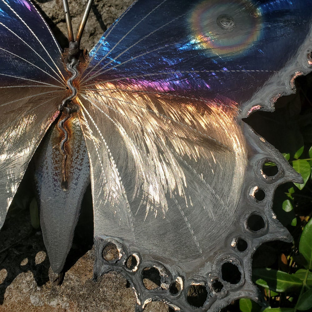 Small Lace Edge Butterfly Wall Sculpture - Upper Eye Spot - Heart of the Home PA