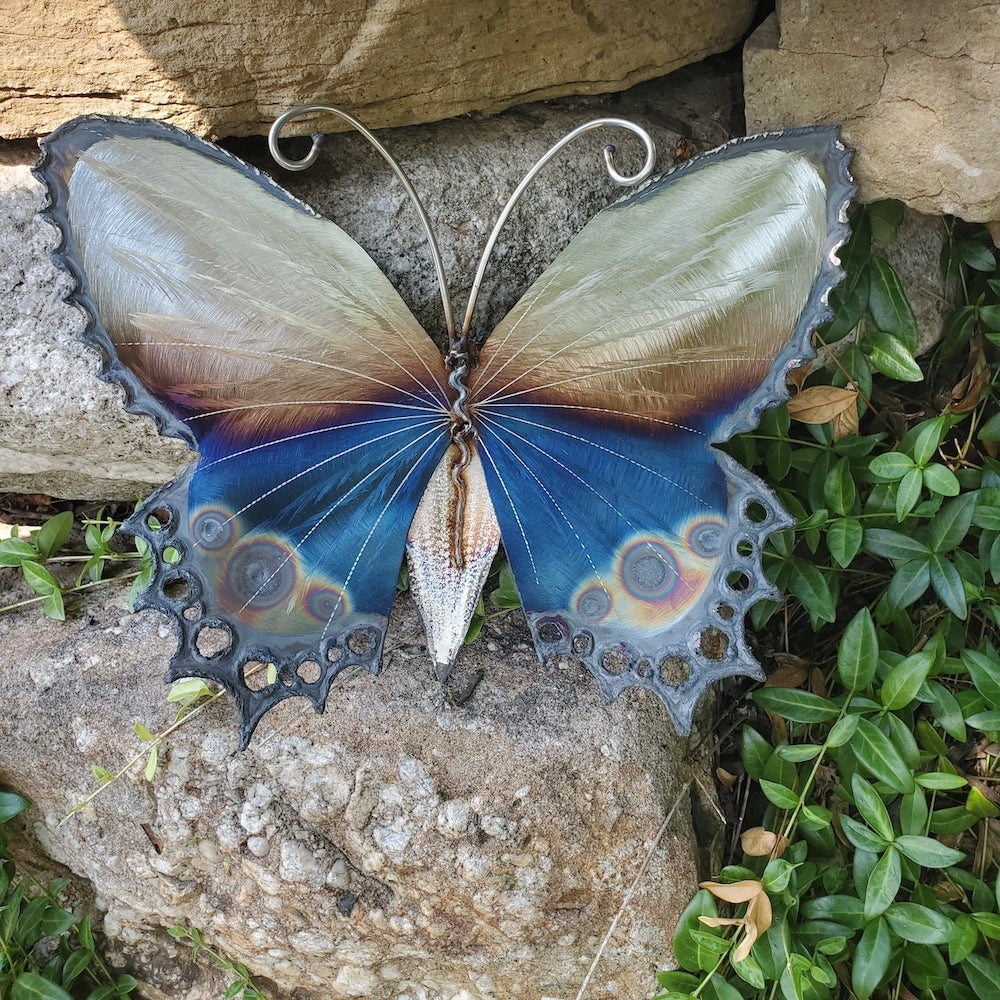 Small Lace Edge Butterfly Wall Sculpture - Dotted Tail - Heart of the Home PA