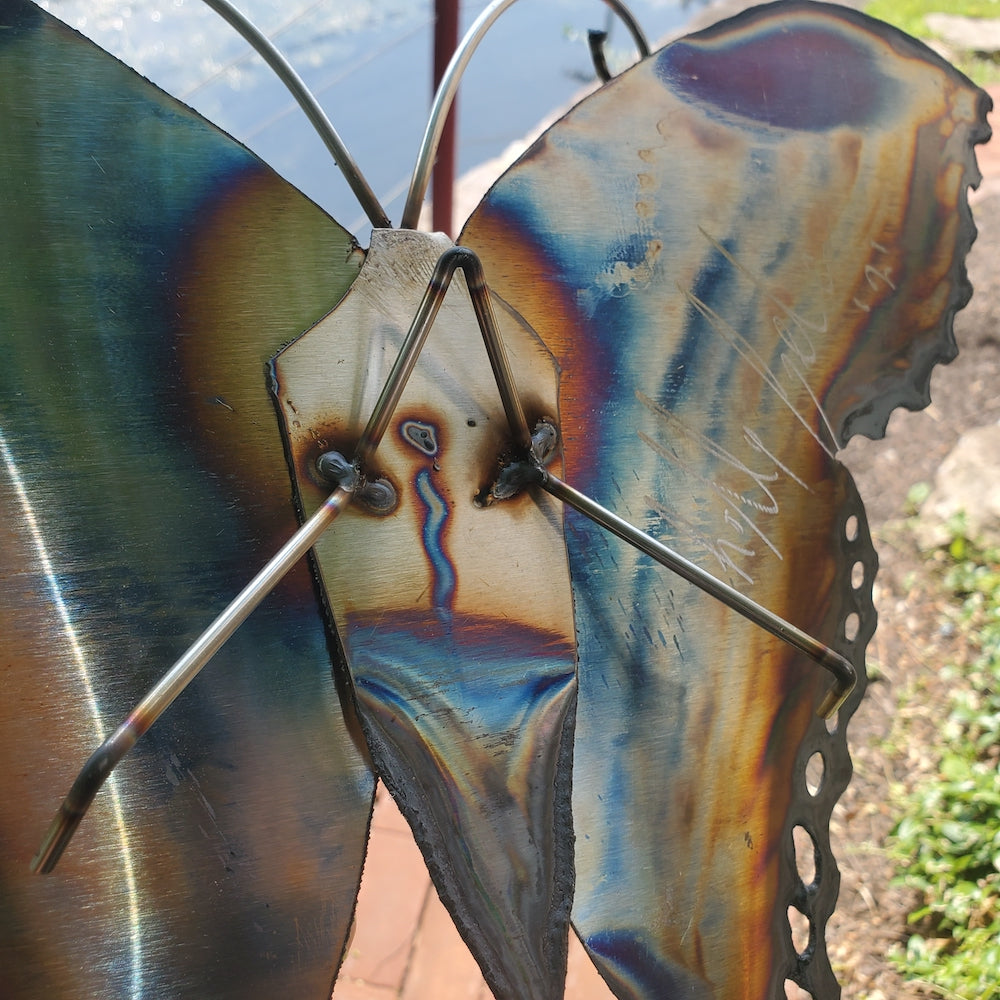 Small Luna Moth Wall Sculpture - Light Edges - Heart of the Home PA