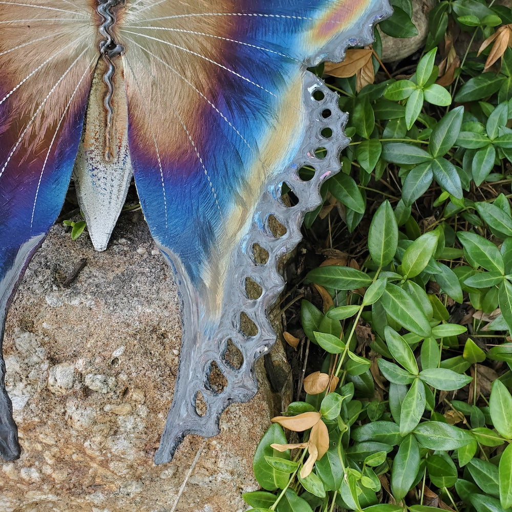 Small Luna Moth Wall Sculpture - Light Edges - Heart of the Home PA