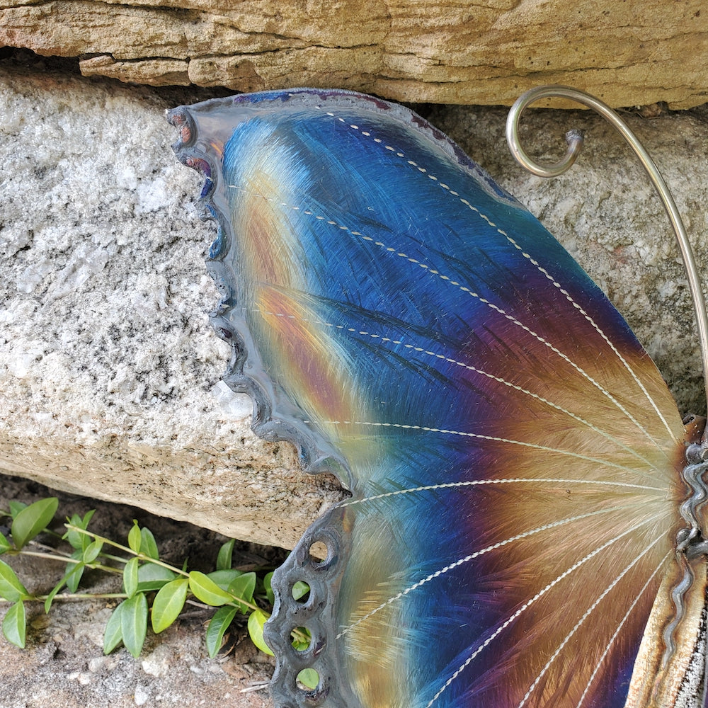 Small Luna Moth Wall Sculpture - Light Edges - Heart of the Home PA