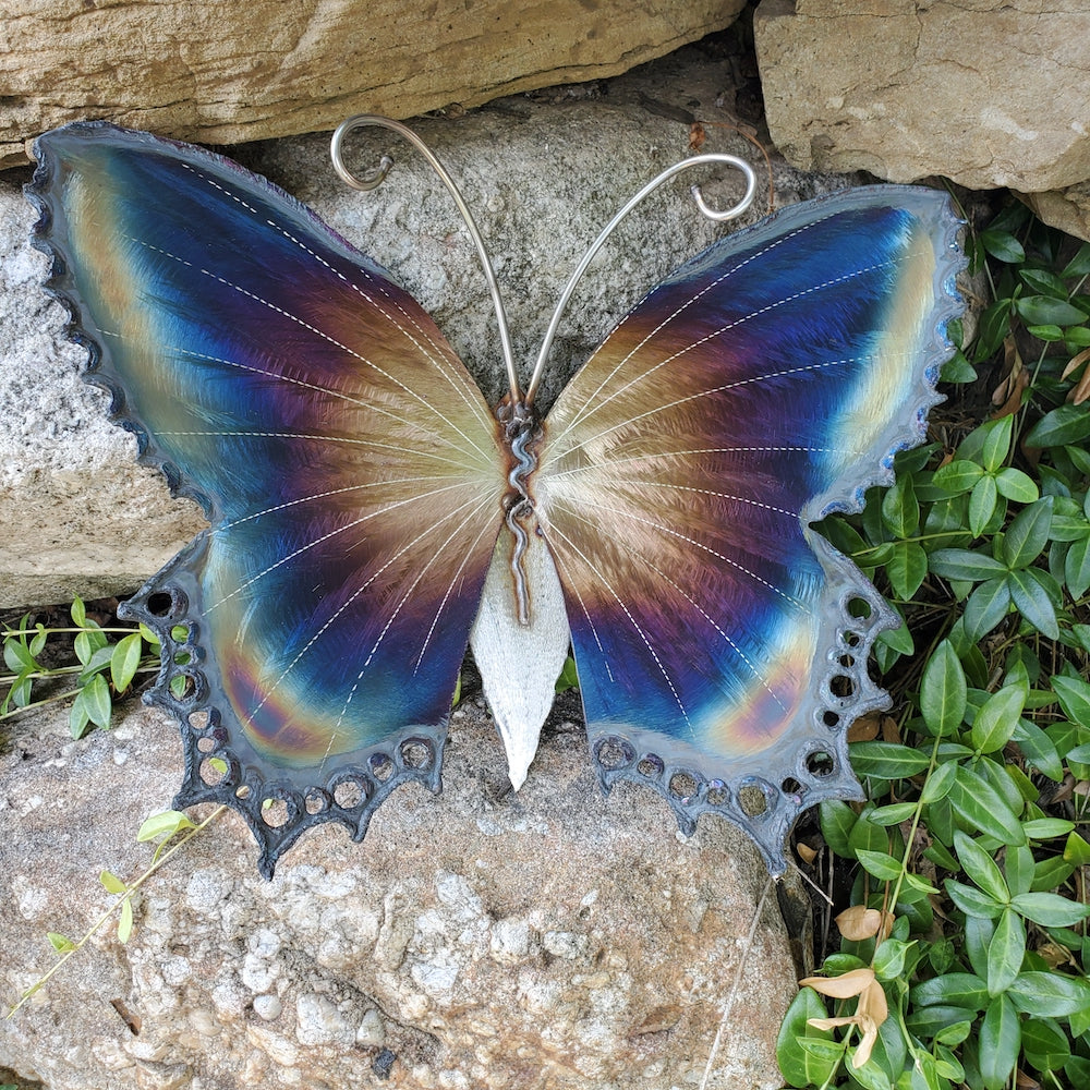 Small Lace Edge Butterfly Wall Sculpture - Light Edges - Heart of the Home PA