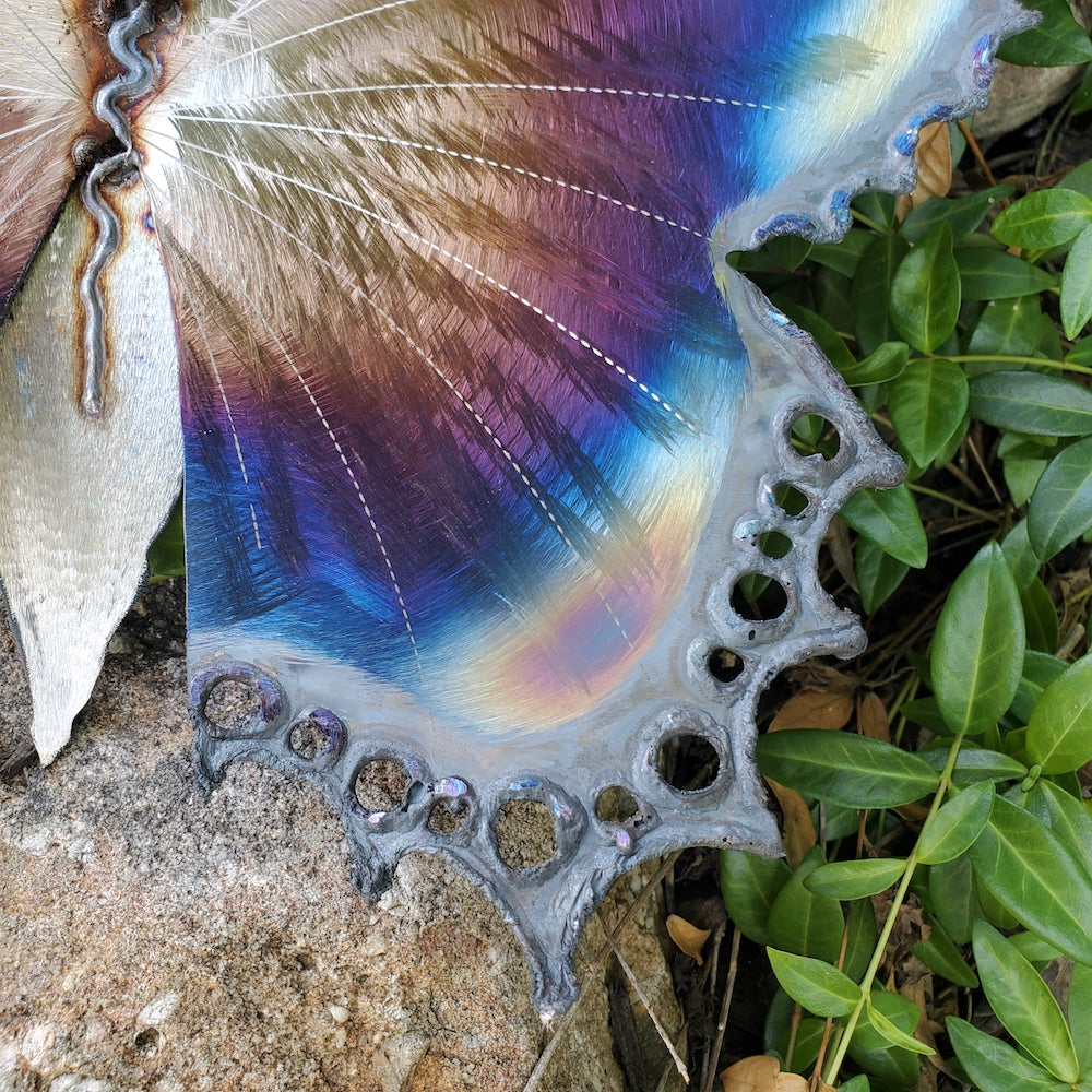 Small Lace Edge Butterfly Wall Sculpture - Light Edges - Heart of the Home PA