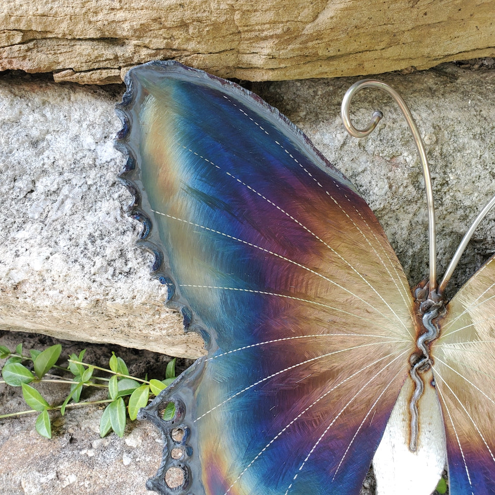 Small Lace Edge Butterfly Wall Sculpture - Light Edges - Heart of the Home PA