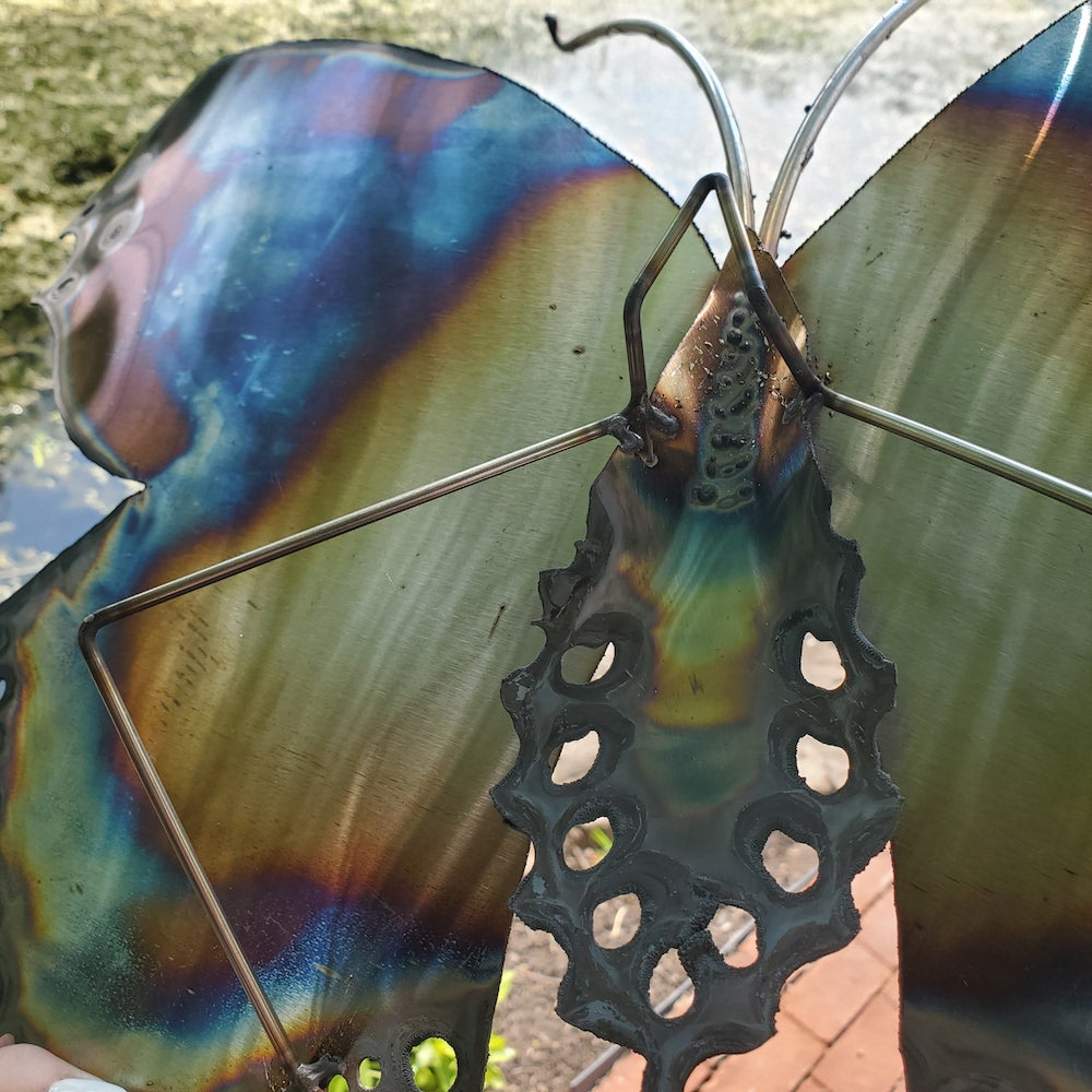 Tiger Butterfly Upper Eye Spots Medium Wall Sculpture - Heart of the Home PA