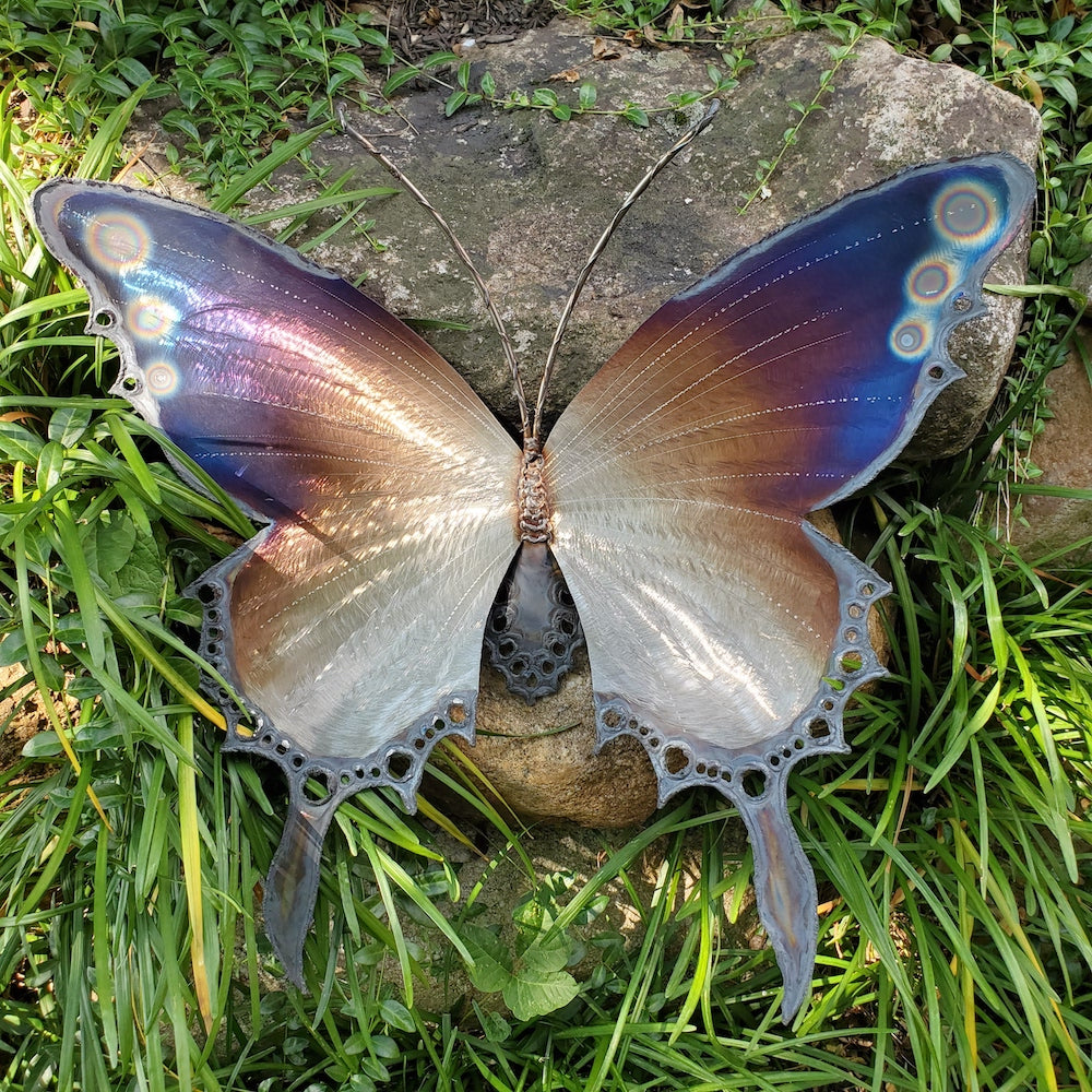 Tiger Butterfly Upper Eye Spots Medium Wall Sculpture - Heart of the Home PA