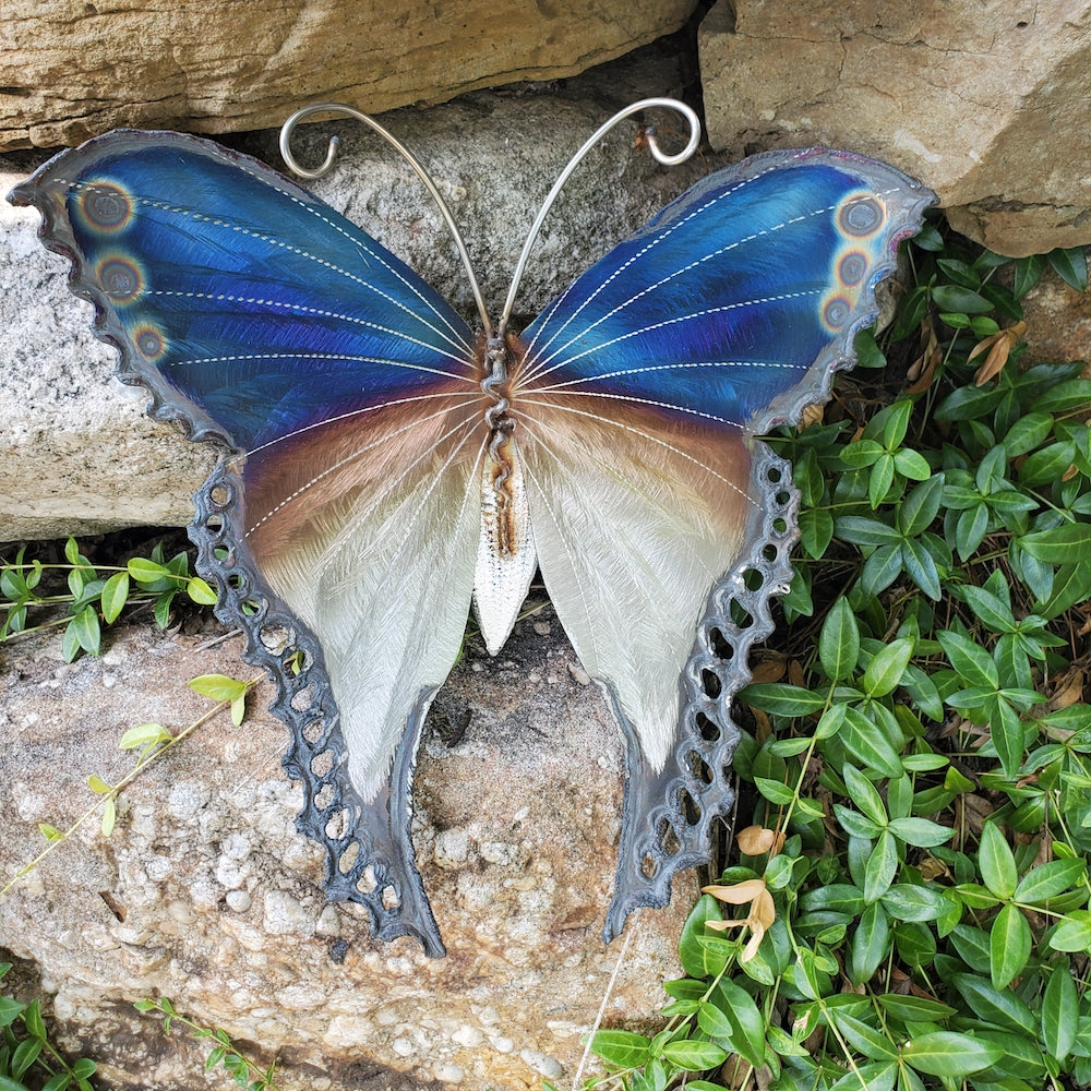 Small Luna Moth Wall Sculpture - Dotted Wingtips - Heart of the Home PA