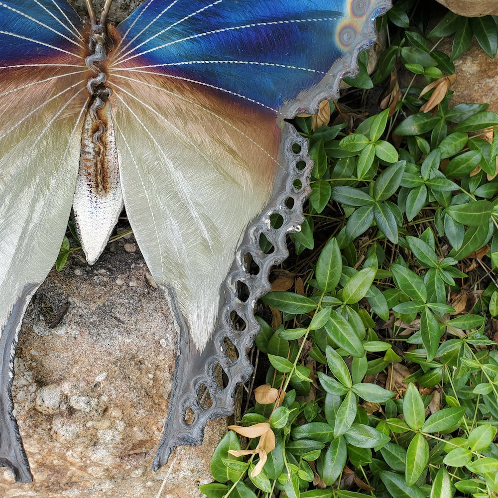 Small Luna Moth Wall Sculpture - Dotted Wingtips - Heart of the Home PA