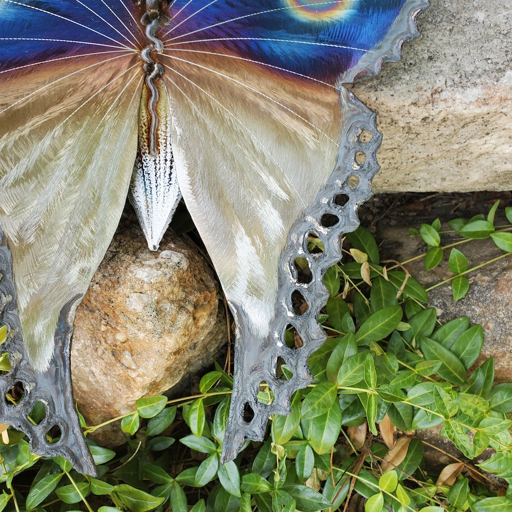 Small Luna Moth Wall Sculpture - Upper Eye Spot - Heart of the Home PA