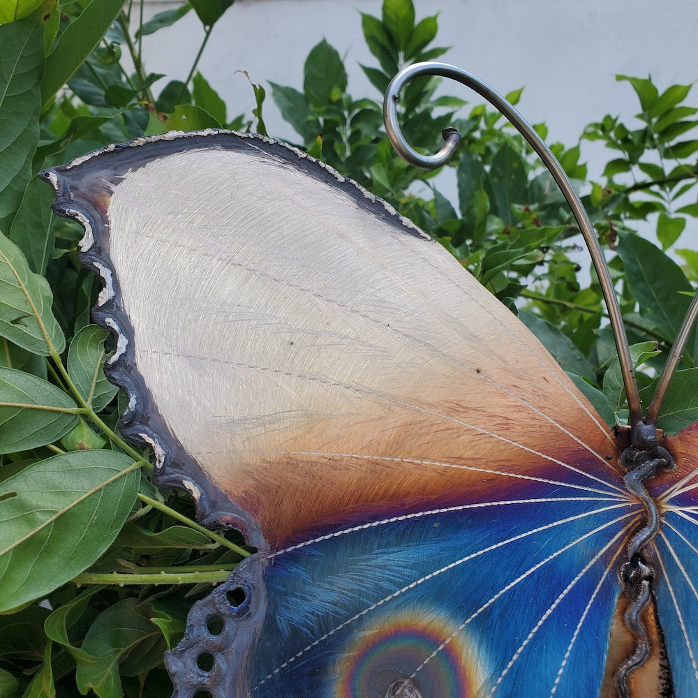 Small Luna Moth Wall Sculpture - Lower Eye Spot - Heart of the Home PA