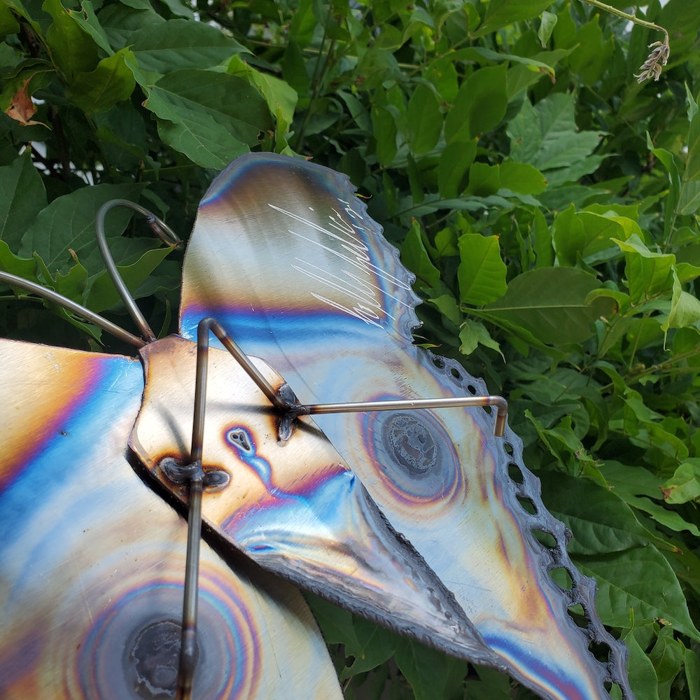 Small Luna Moth Wall Sculpture - Lower Eye Spot - Heart of the Home PA