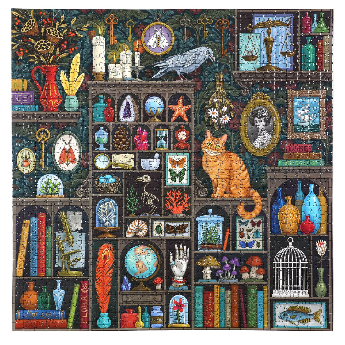 Alchemist&#39;s Cabinet 1000 Piece Puzzle - Heart of the Home PA