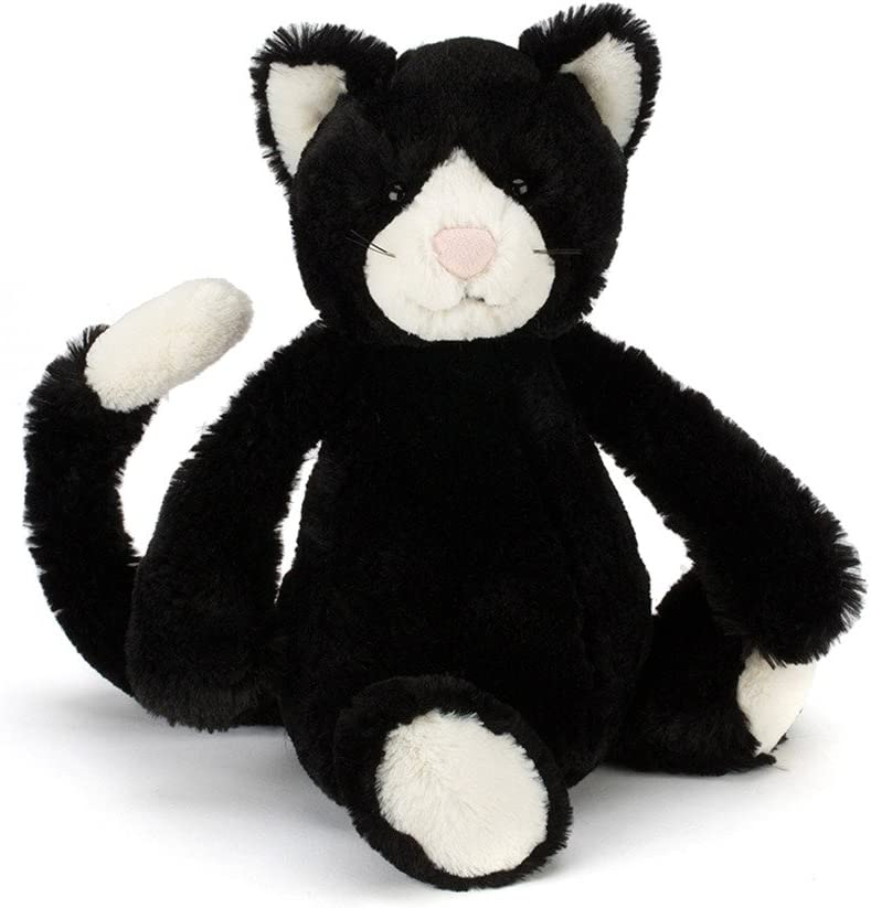 Bashful Black and White Cat - Heart of the Home PA