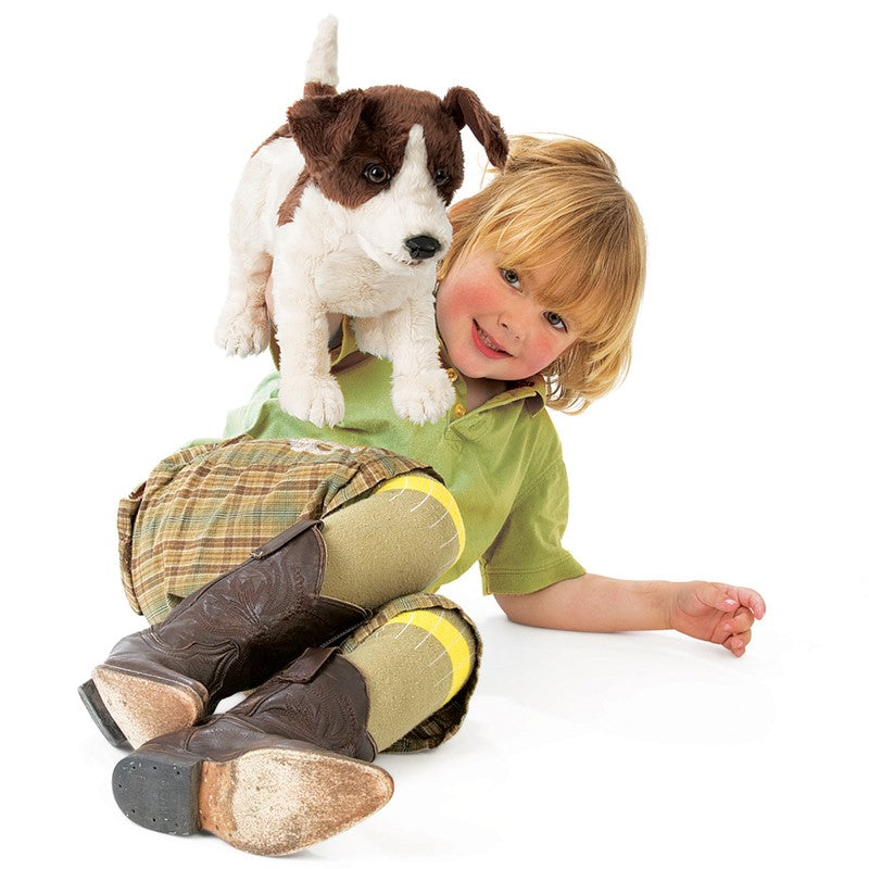 Jack Russell Terrier Pupper - Heart of the Home PA