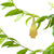 Plant Animal Fruit Bat - Heart of the Home PA