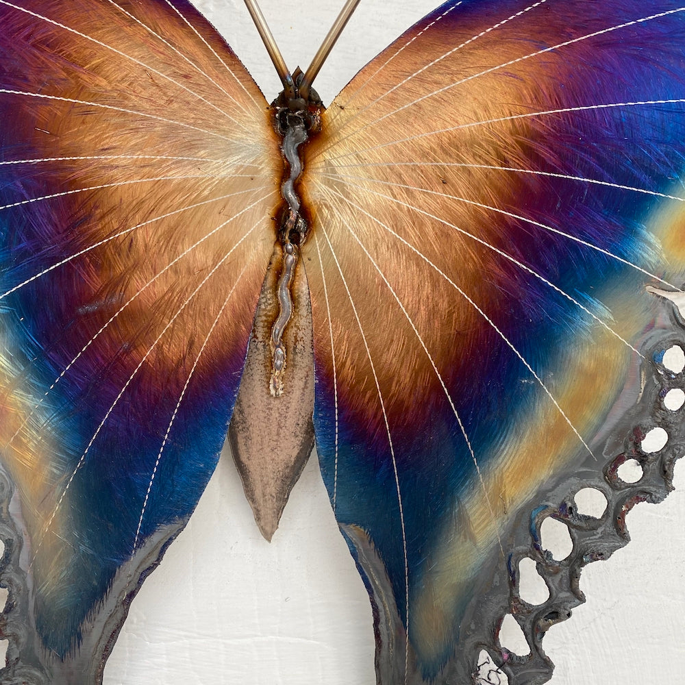 Small Luna Moth Wall Sculpture - Light Edges - Heart of the Home PA