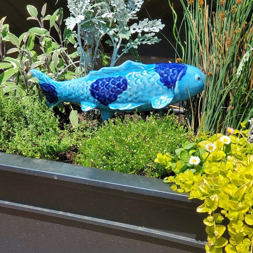 Ocean Blue Garden Koi - Heart of the Home PA