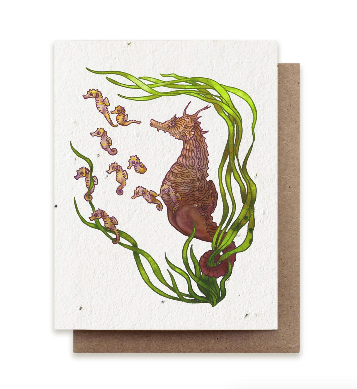 Seahorses Plantable Herb Seed Card - Heart of the Home PA