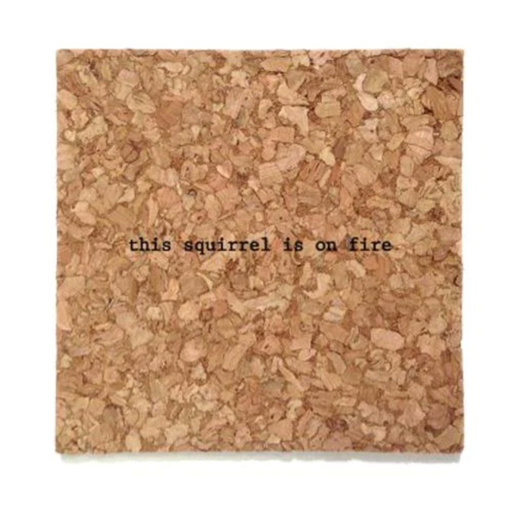 This Squirrel is on Fire Mistaken Lyrics Coaster - Heart of the Home PA