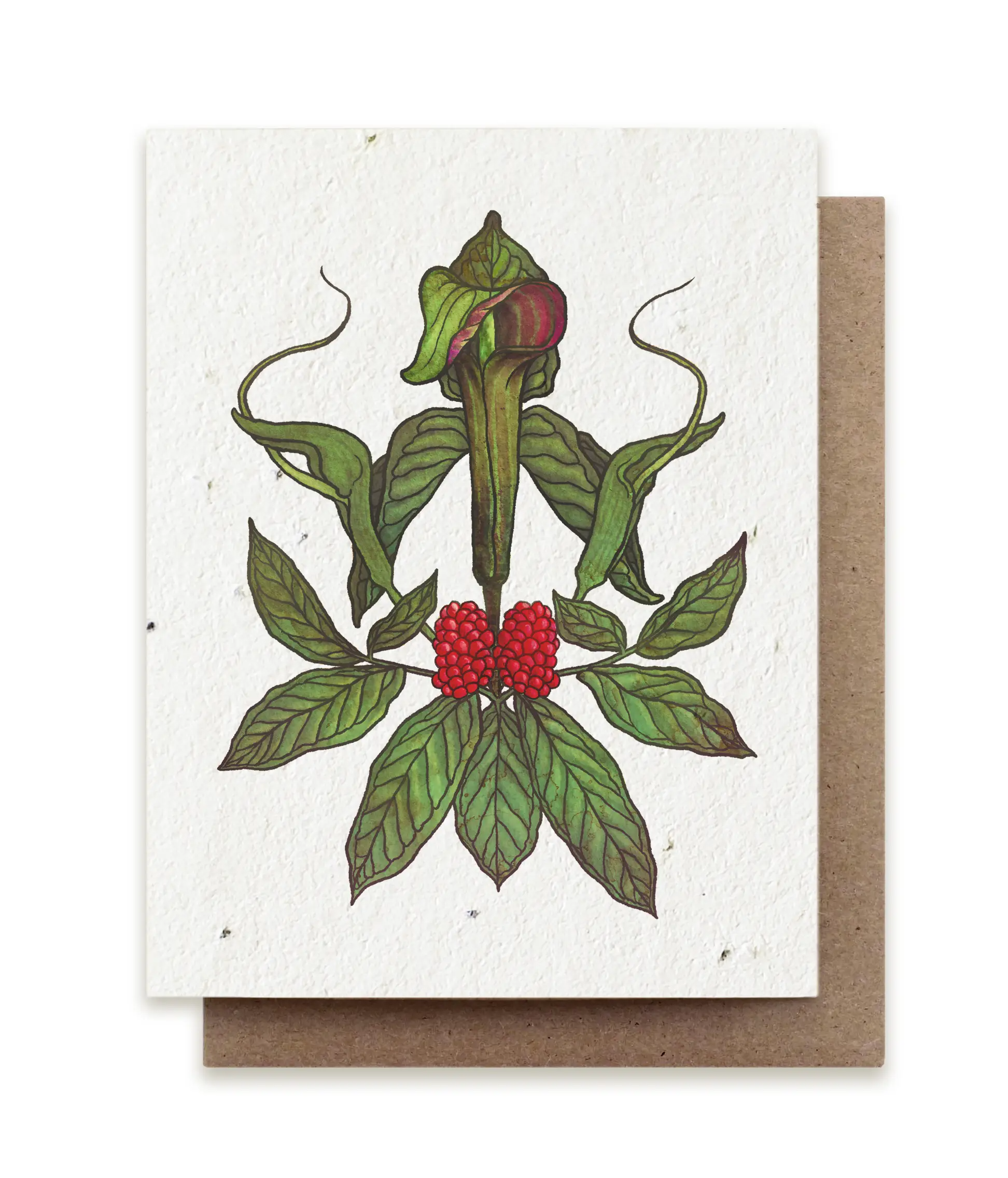Jack in the Pulpit Plantable Card - Heart of the Home PA