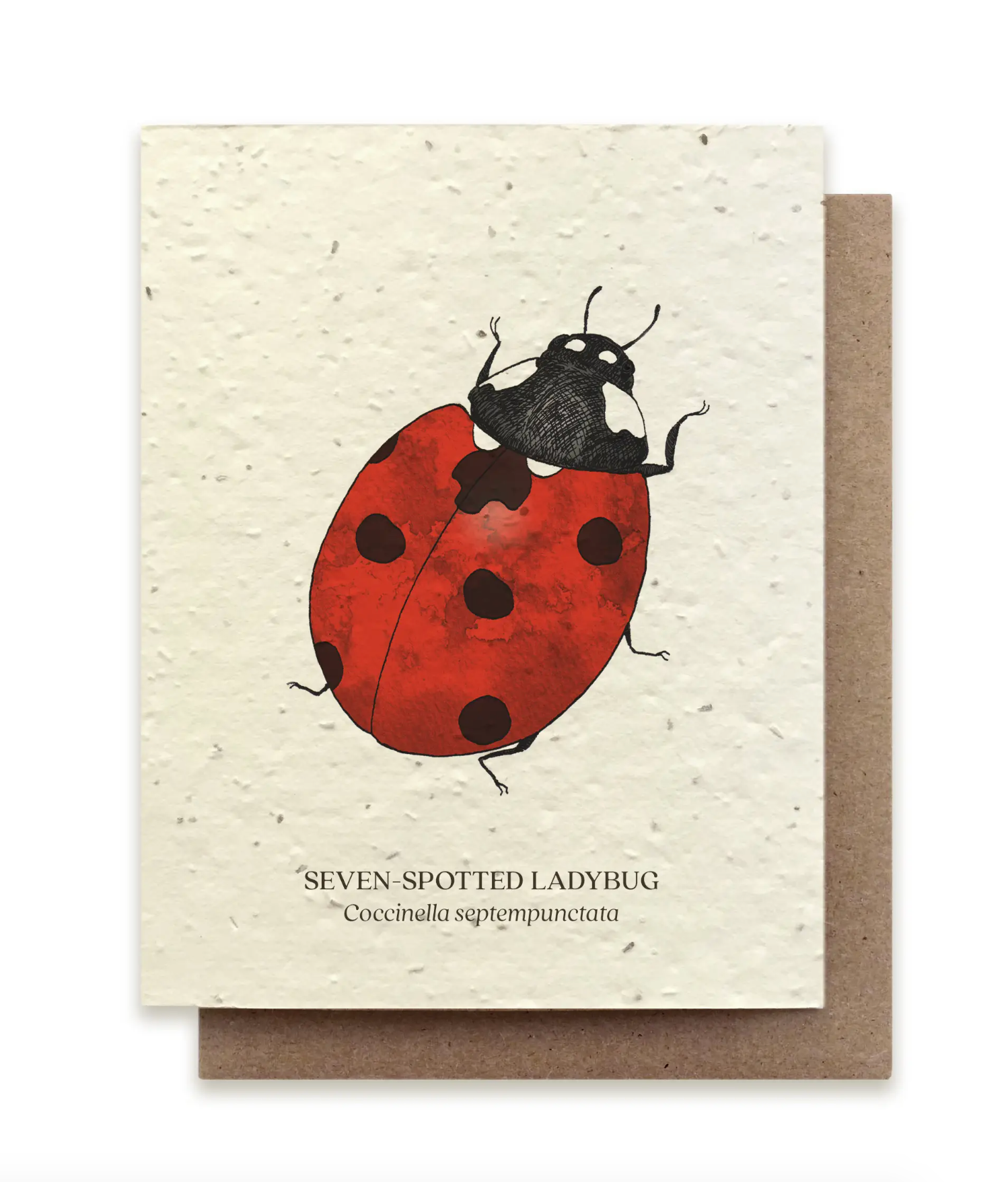 Ladybug Plantable Card - Heart of the Home PA