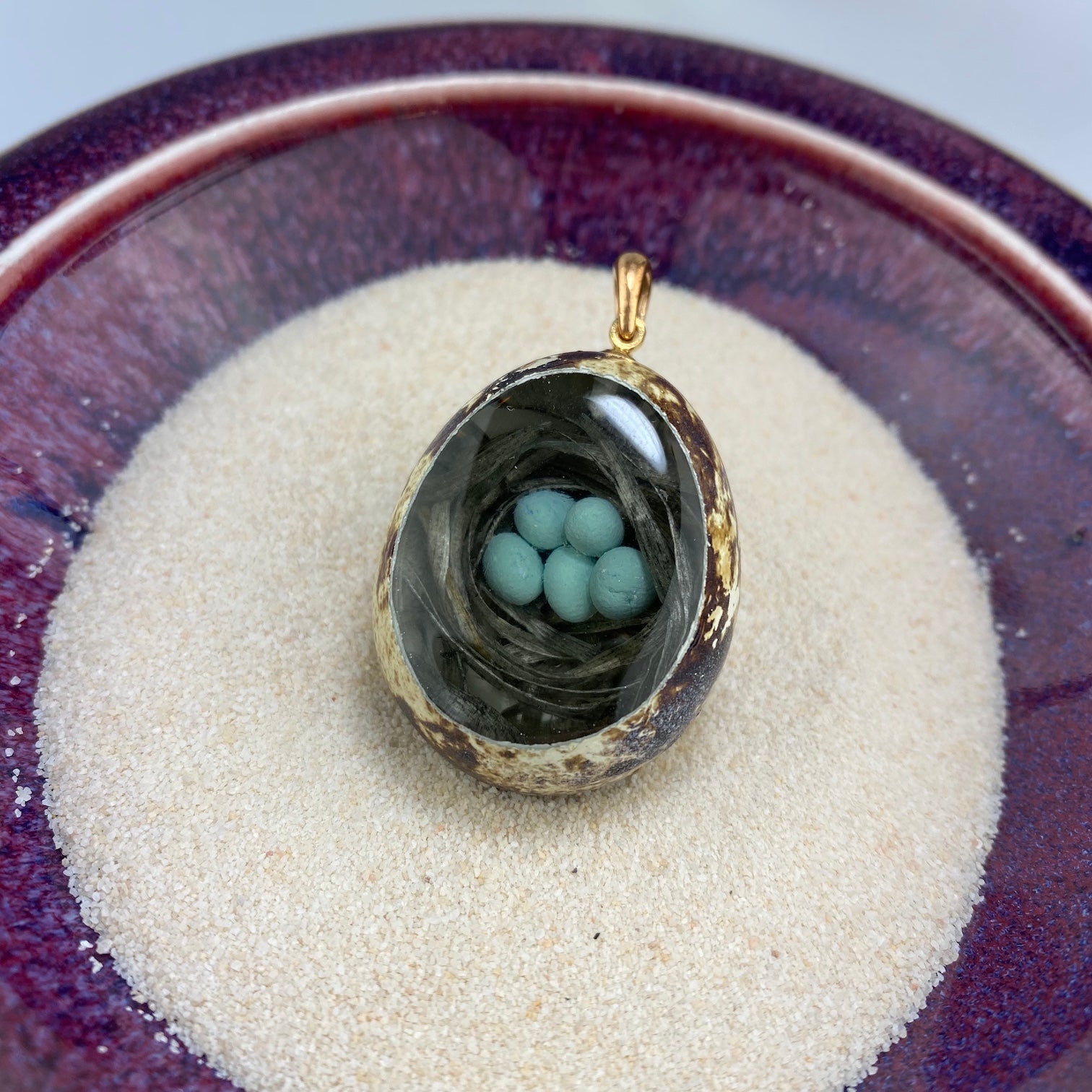 Robin's Nest (of 5 Eggs) Quail Egg - Heart of the Home PA