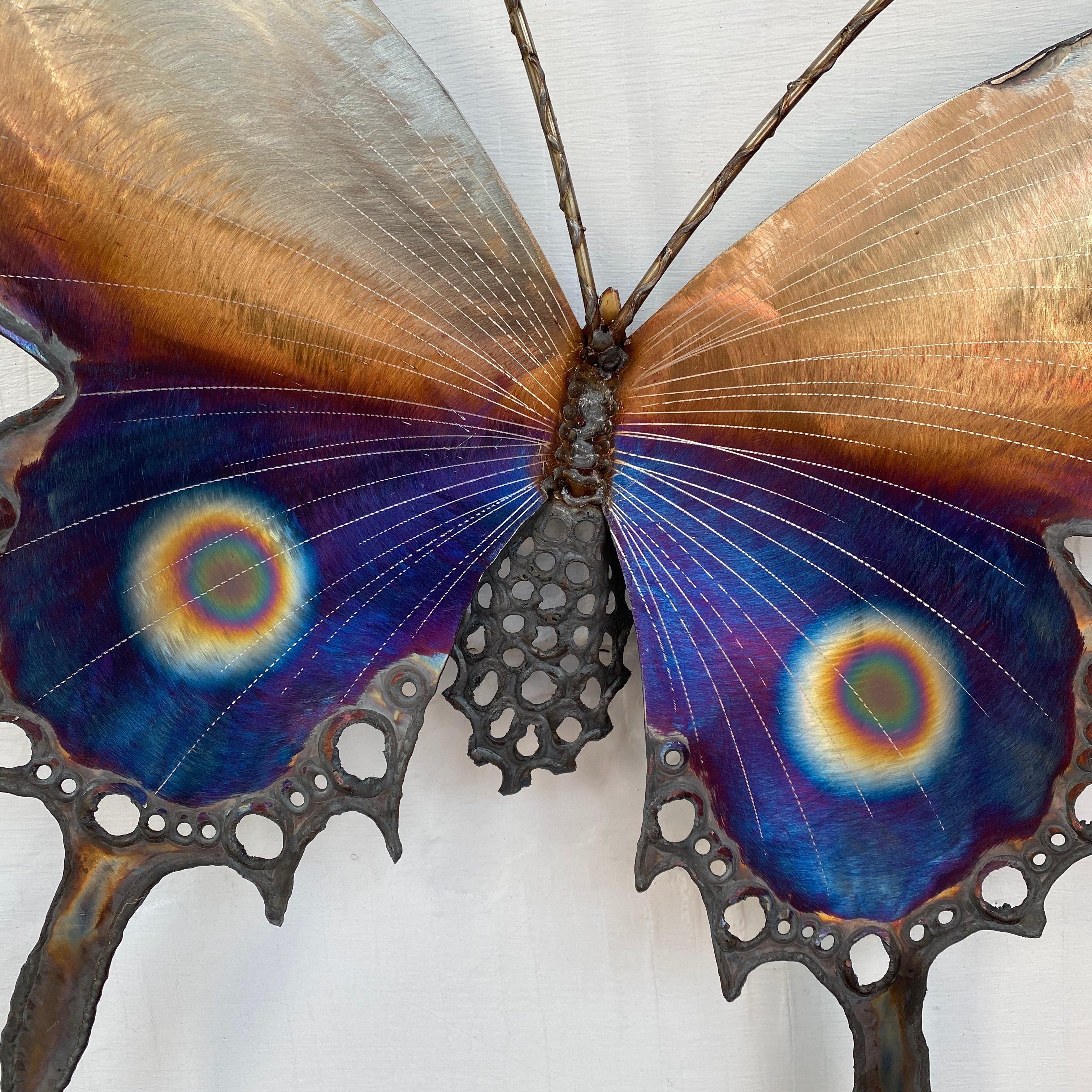 Tiger Butterfly with Spots Medium Wall Sculpture - Heart of the Home PA