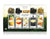 Single Steeps Loose Tea Sampler - Heart of the Home PA