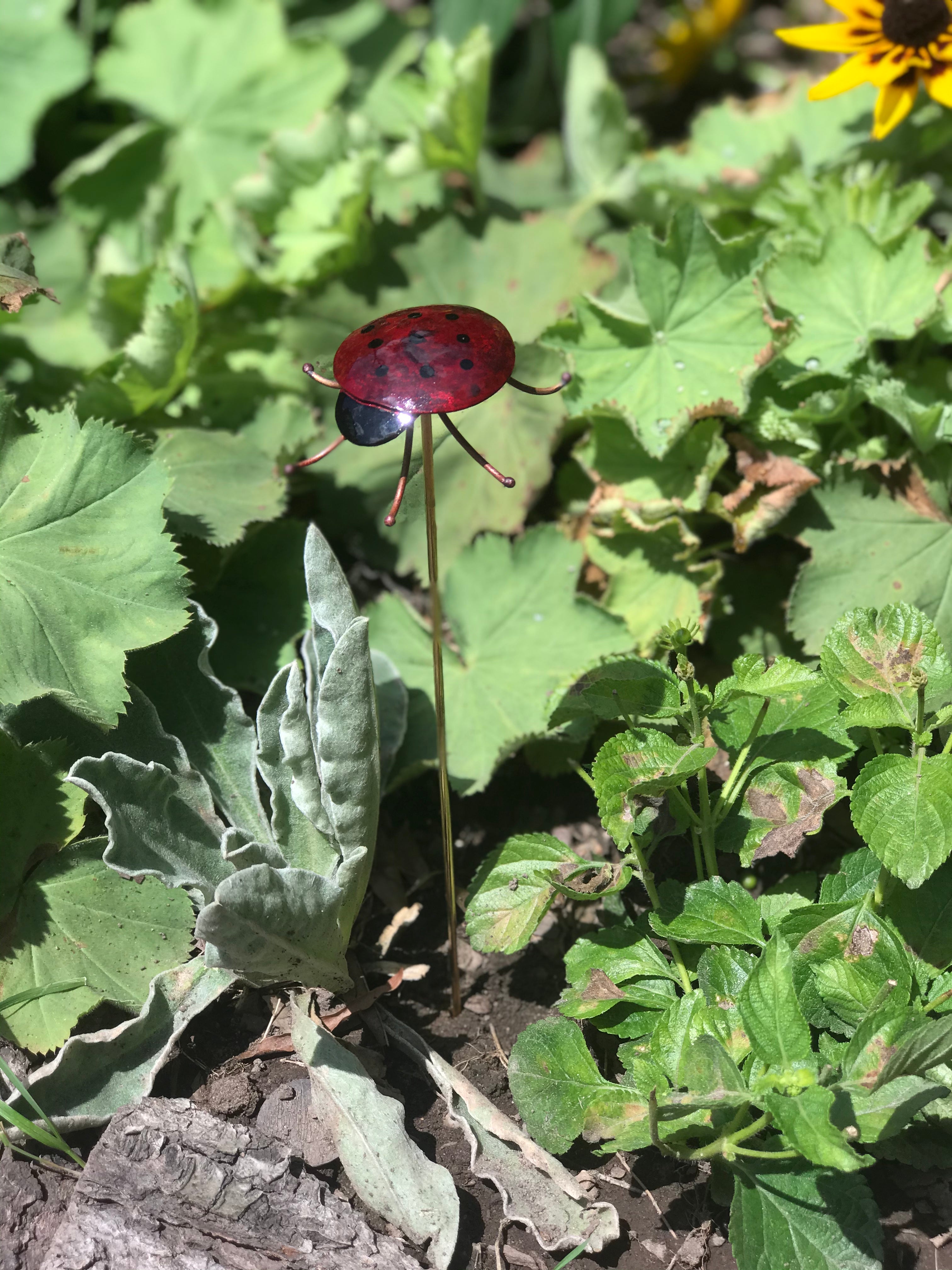 Small Ladybug Garden Stake - Heart of the Home PA