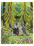Raccoon Friends Birthday Card - Heart of the Home PA