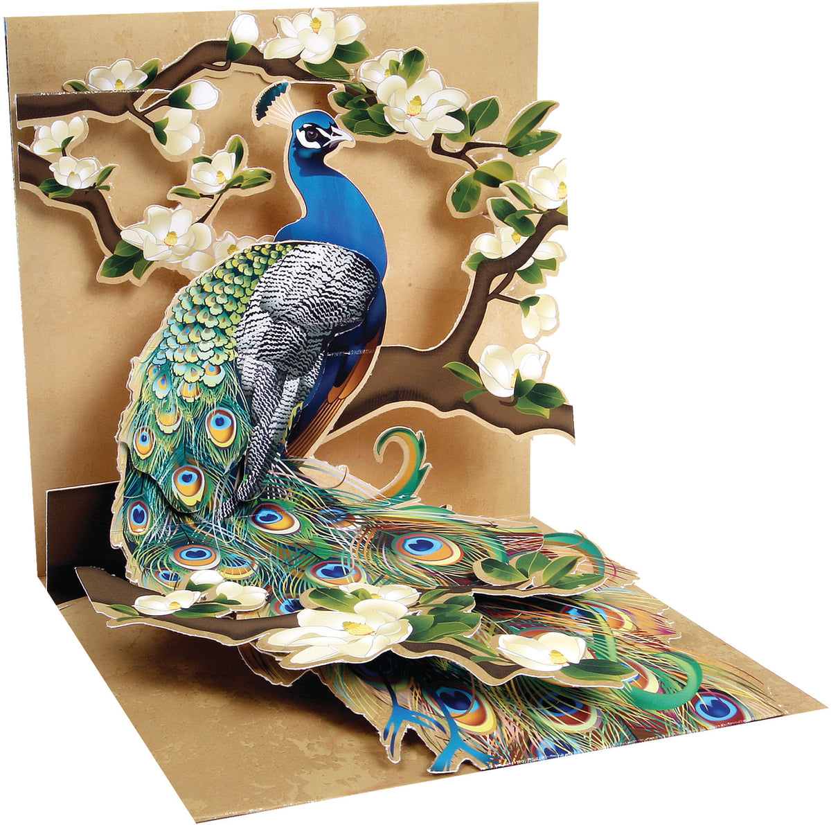 Peacocks and Magnolias Pop-Up Card - Heart of the Home PA