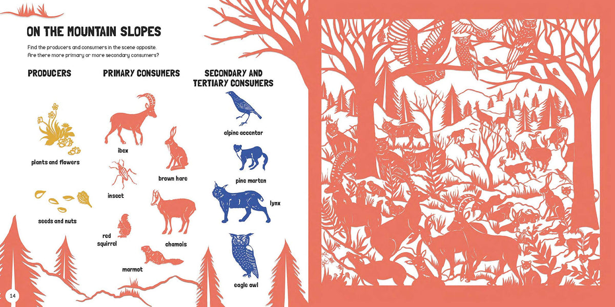 Animal Habitats: Search &amp; Find Activity Book - Heart of the Home PA