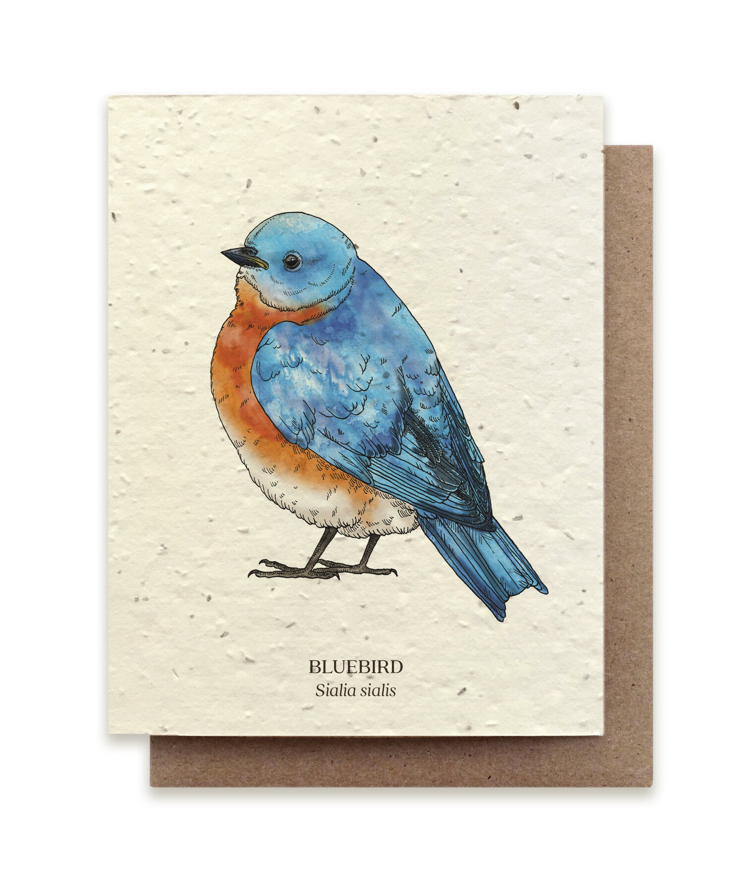 Bluebird Plantable Card - Heart of the Home PA