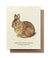 Cottontail Rabbit Plantable Card - Heart of the Home PA