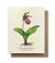 Lady's Slipper Plantable Card - Heart of the Home PA