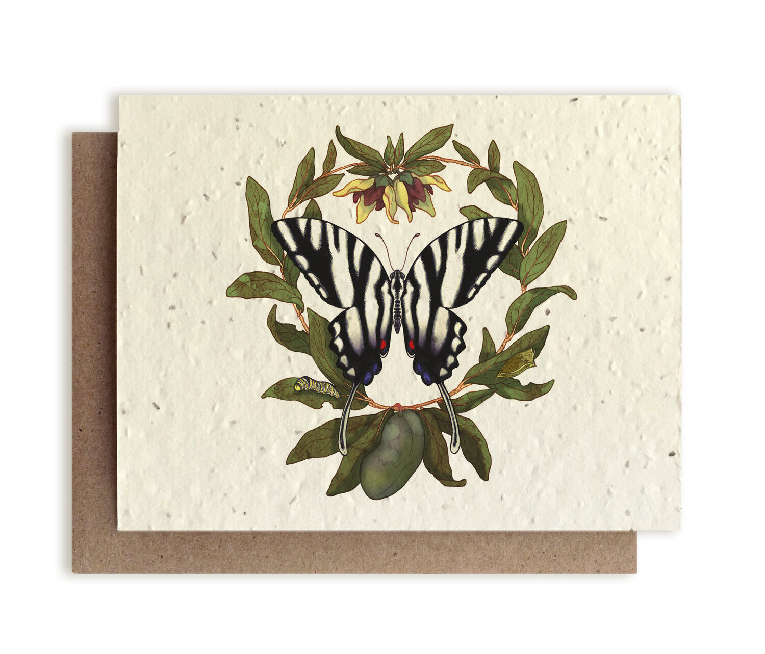 Zebra Swallowtail Butterfly & Four-Petal PawPaw Plantable Card - Heart of the Home PA