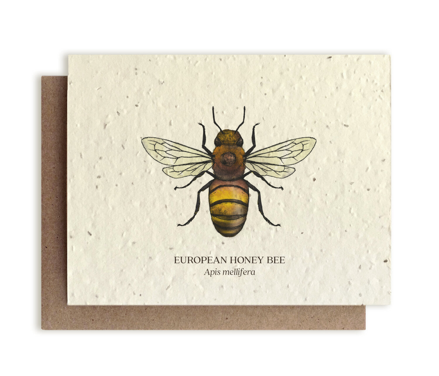 Honey Bee Plantable Card - Heart of the Home PA