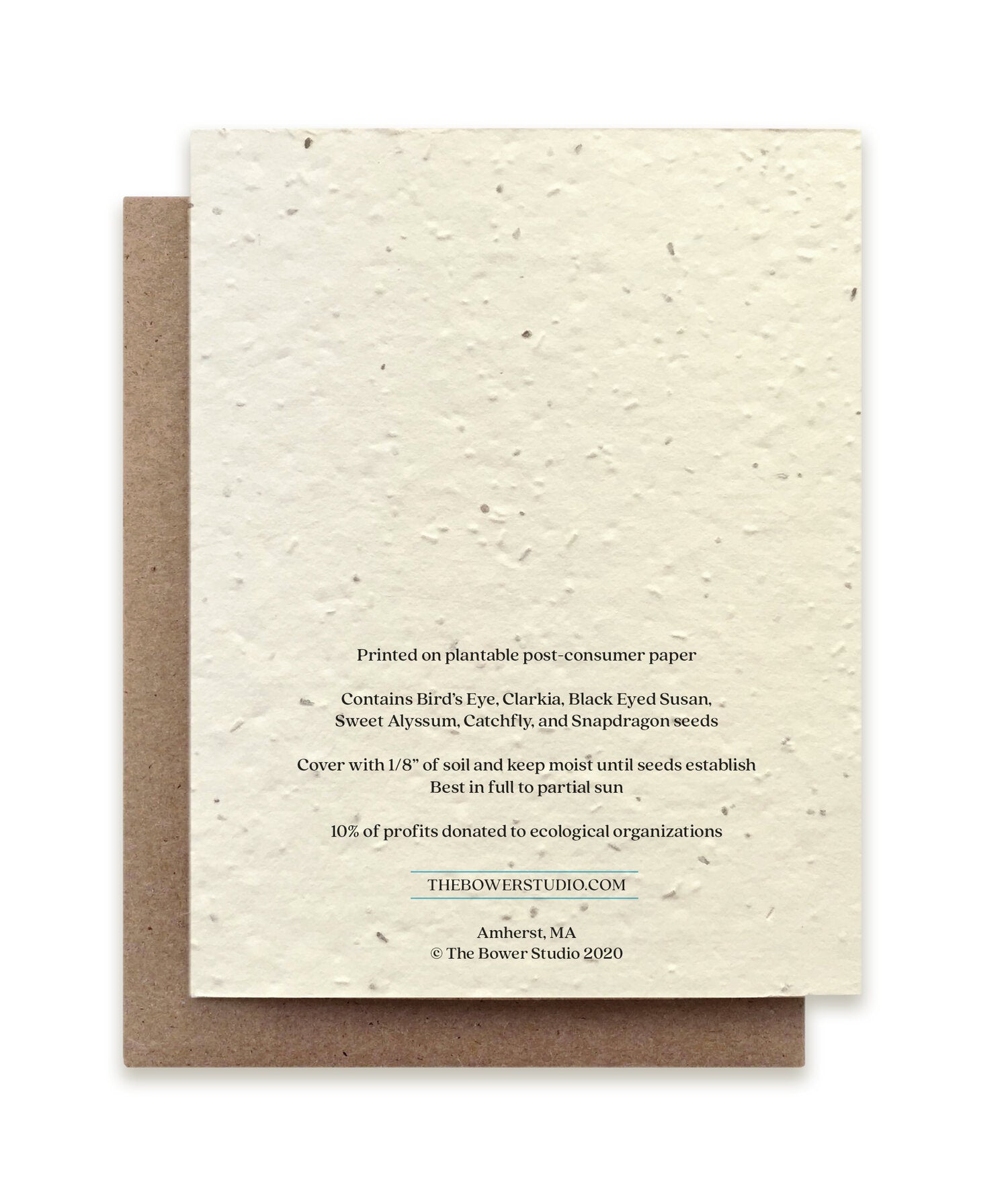 Green Darner Dragonfly Plantable Card - Heart of the Home PA