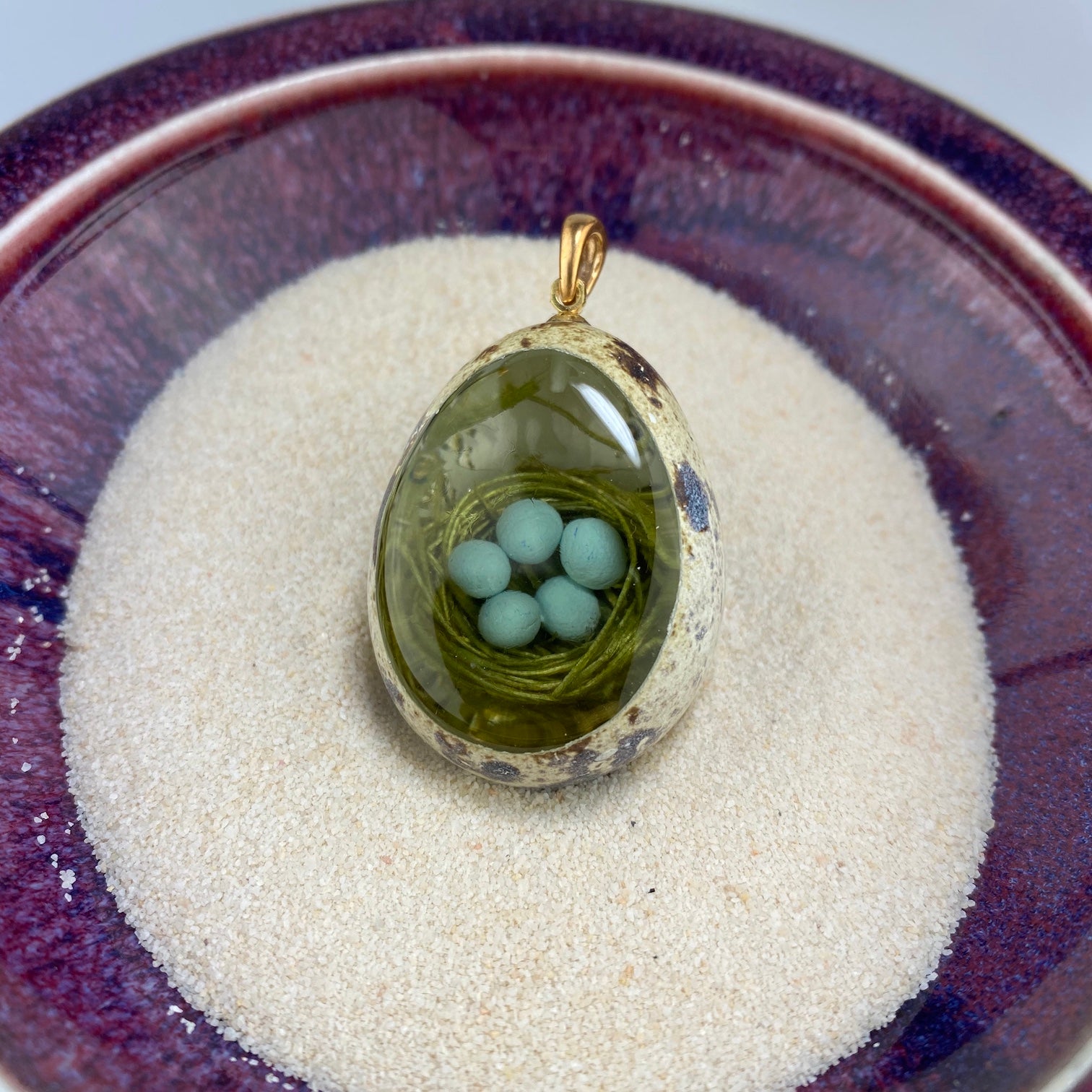 Robin's Nest (of 5 Eggs) Quail Egg - Heart of the Home PA