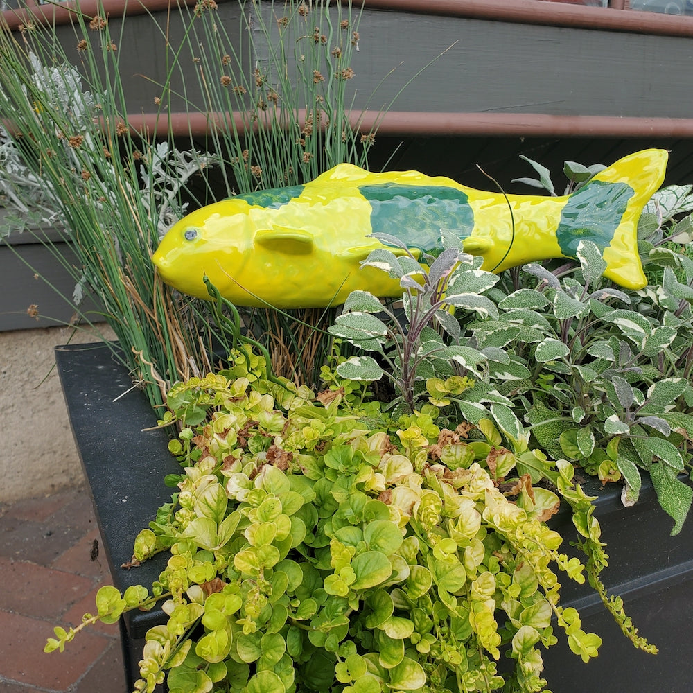 Lime Green Garden Koi - Heart of the Home PA