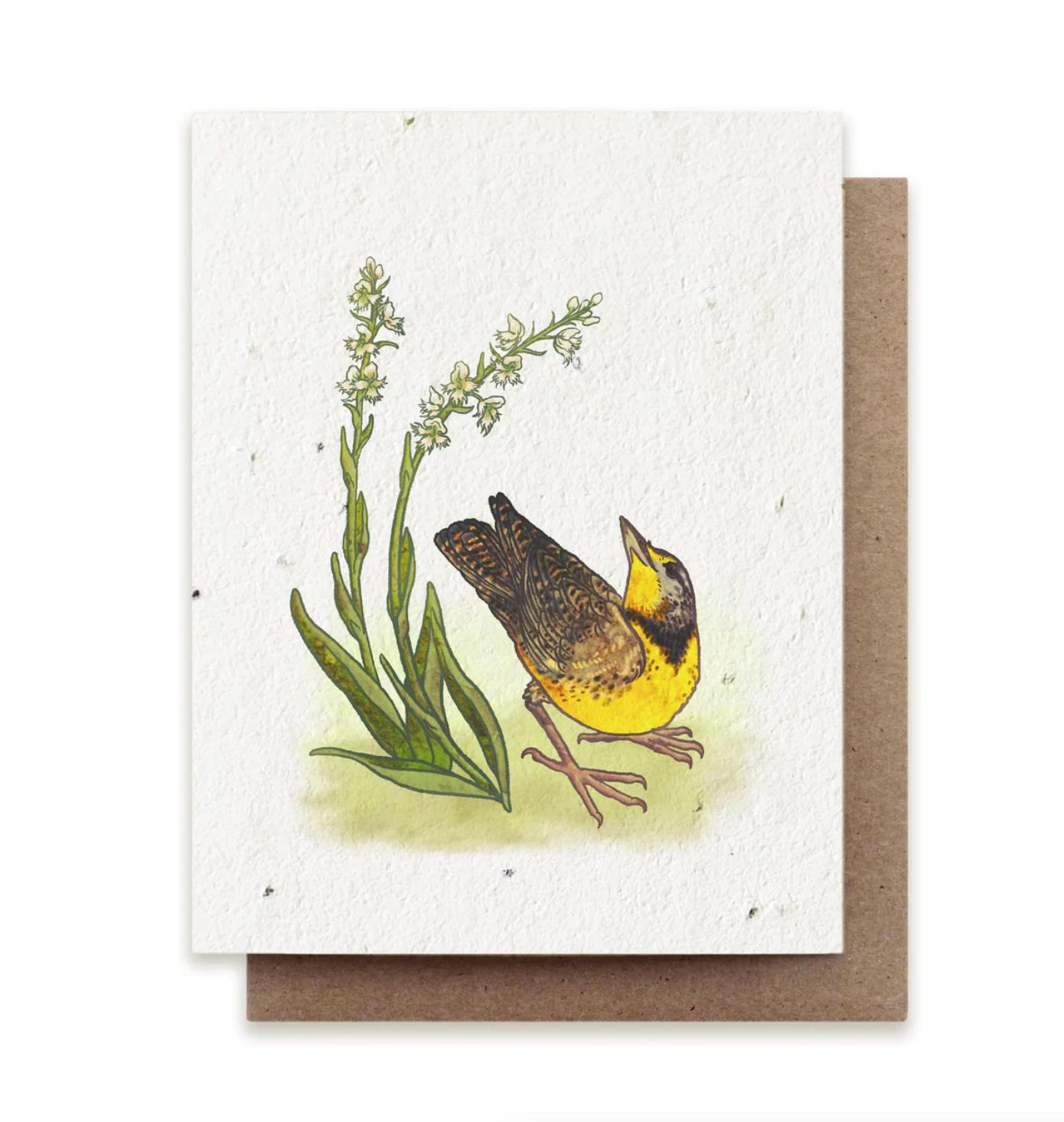 Meadowlark & Prairie Orchid Plantable Herb Card - Heart of the Home PA